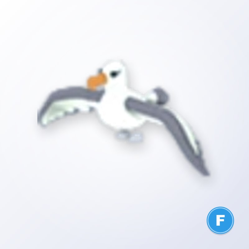 Albatross F | Adopt Me