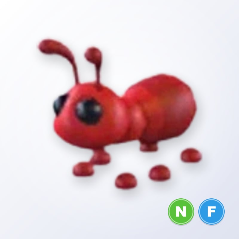 Ant NF | Adopt Me