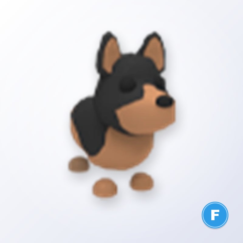 Australian Kelpie F | Adopt Me