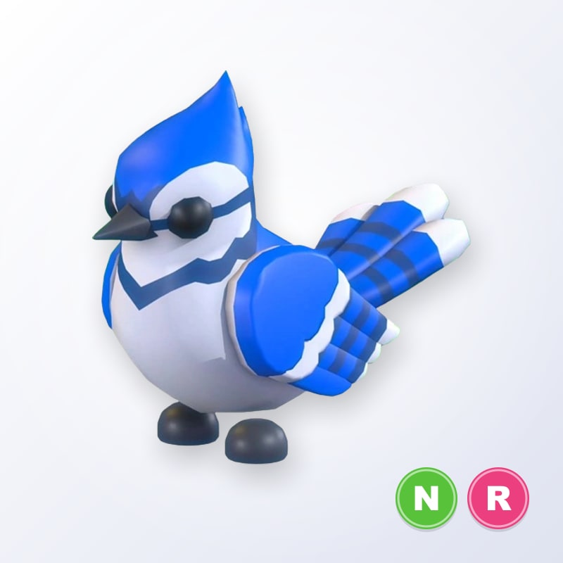 Blue Jay NR | Adopt Me