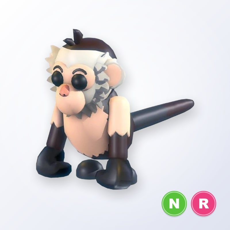 Capuchin Monkey NR | Adopt Me