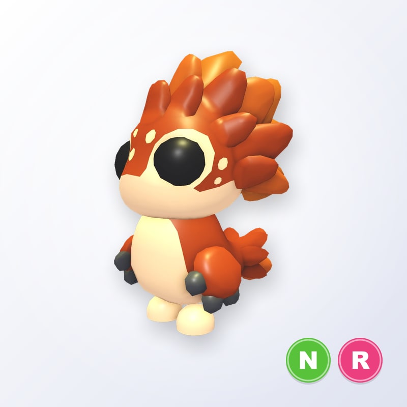Chanekeh NR | Adopt Me