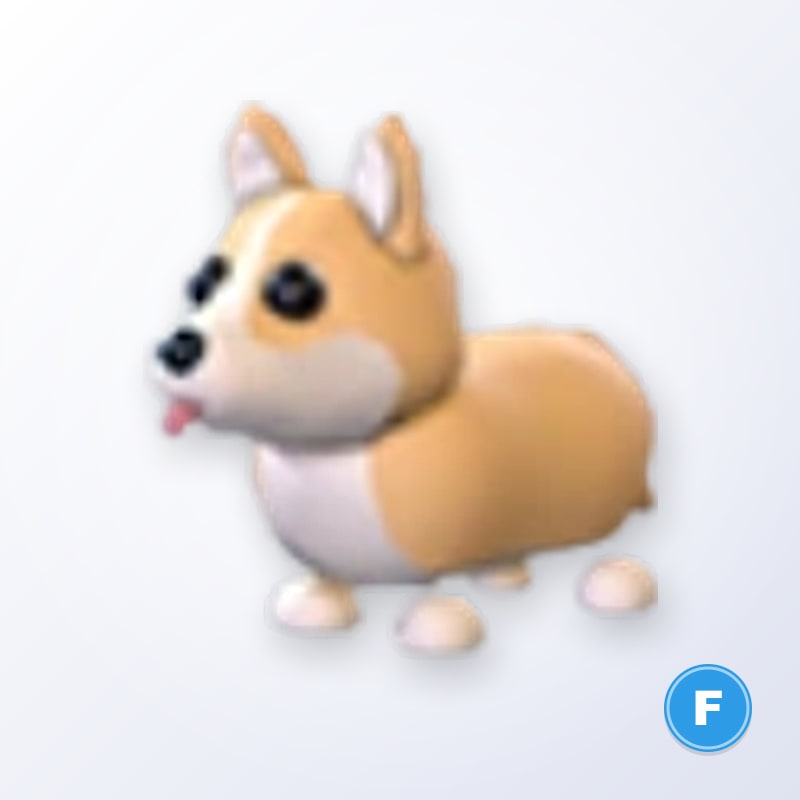 Corgi F | Adopt Me