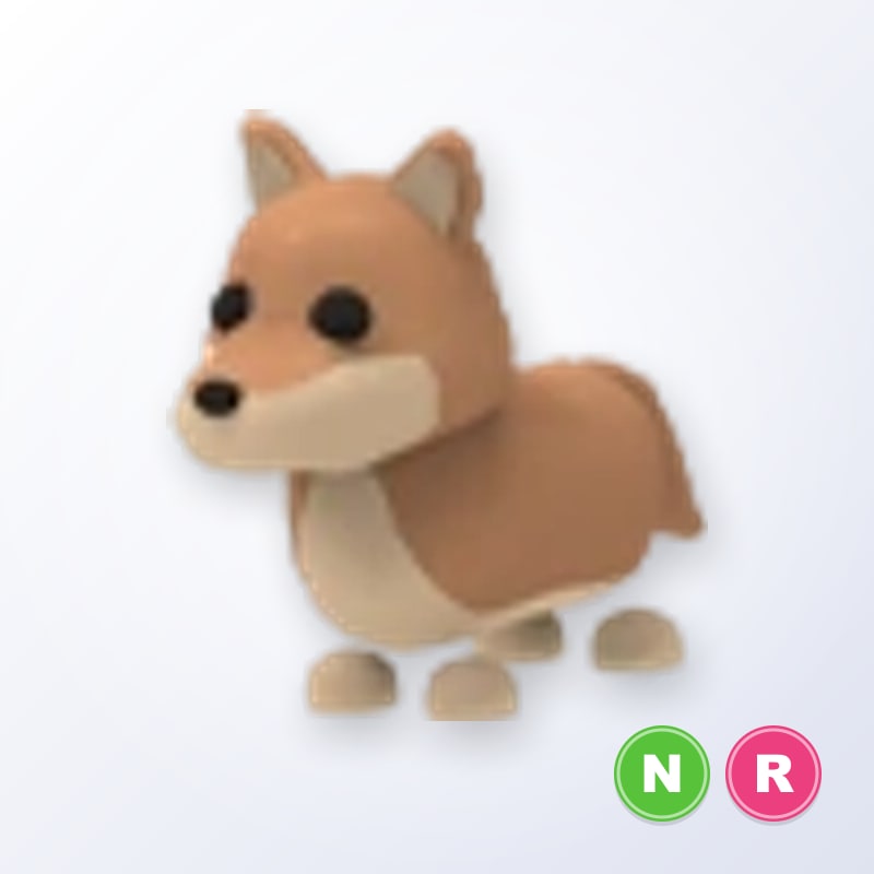 Dingo NR | Adopt Me