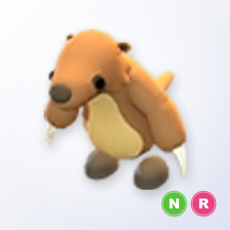 Ground Sloth NR | Adopt Me