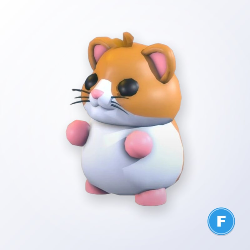 Hamster F | Adopt Me