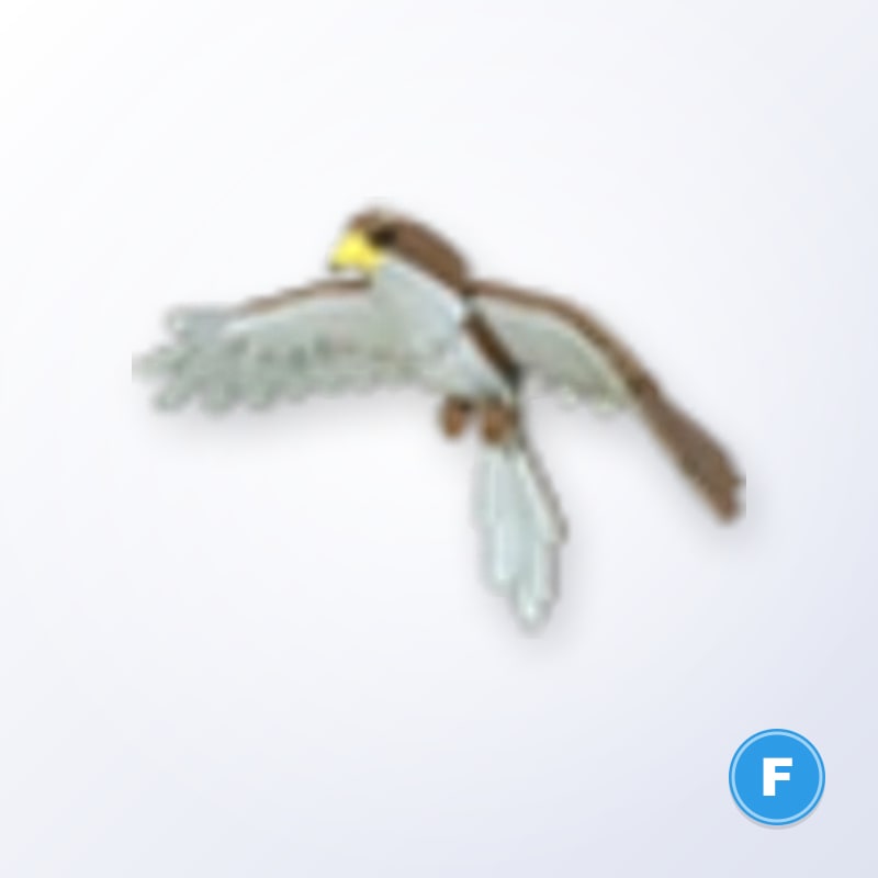 Hawk F | Adopt Me
