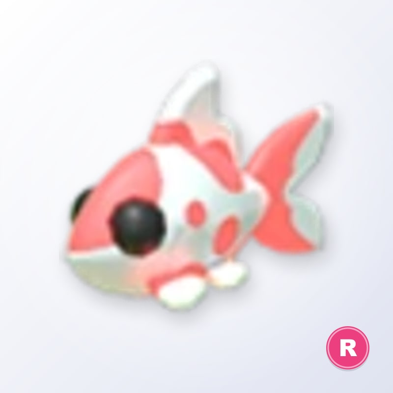 Koi Carp R | Adopt Me