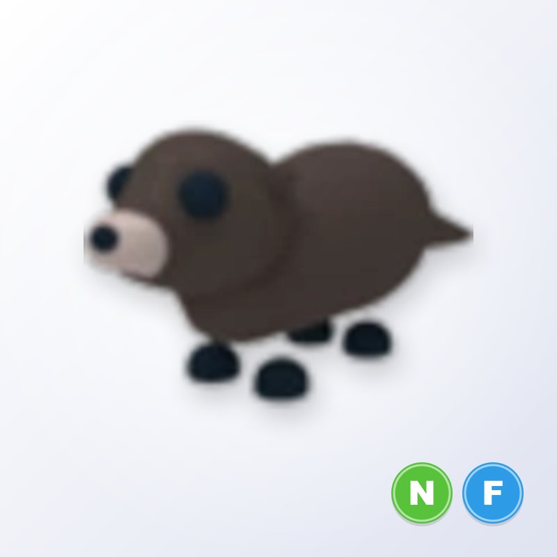 Otter NF | Adopt Me
