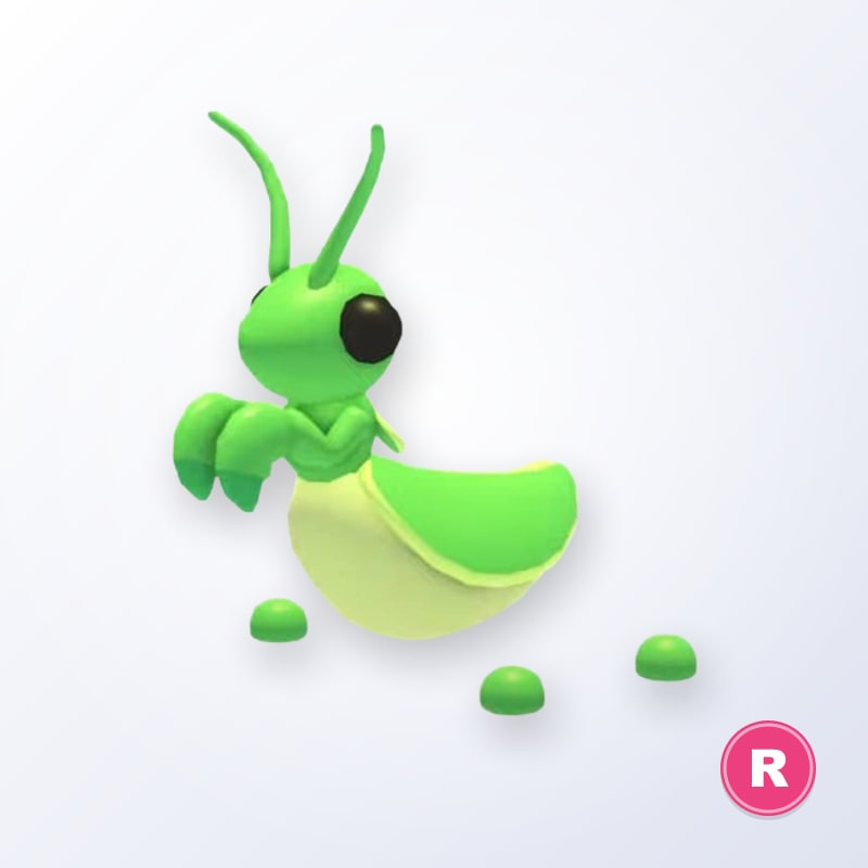 Praying Mantis R | Adopt Me