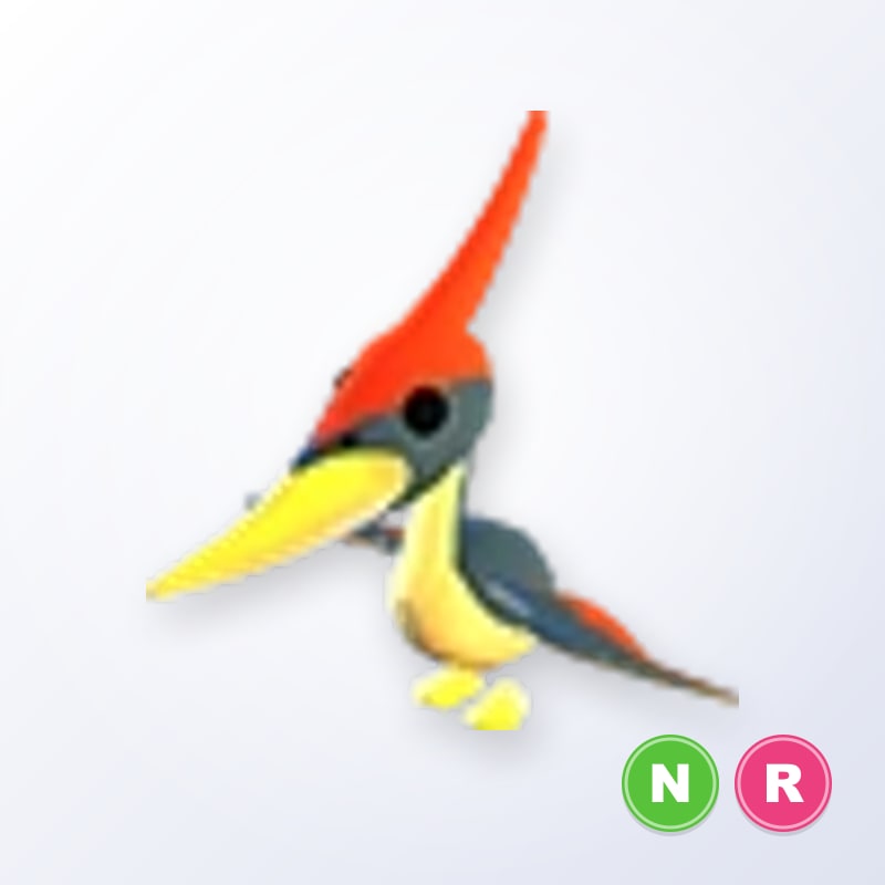 Pterodactyl NR | Adopt Me