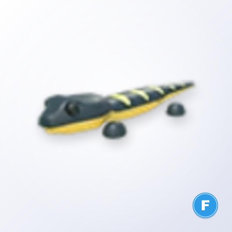 Salamander F | Adopt Me