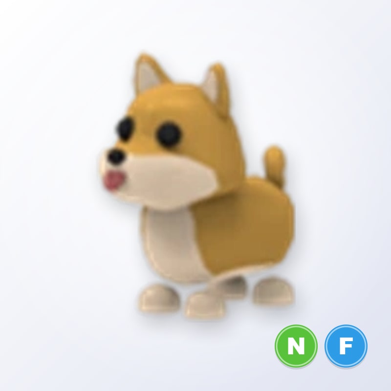 Shiba Inu NF | Adopt Me