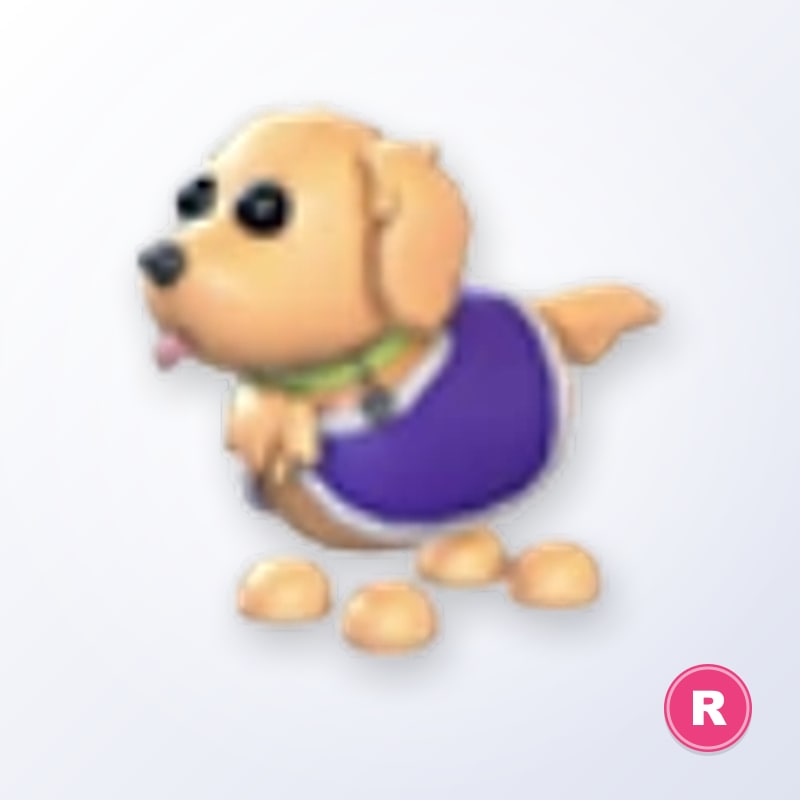 Therapy Dog R | Adopt Me