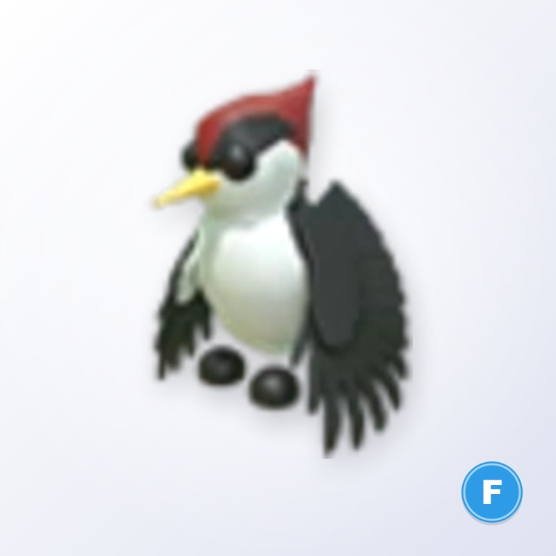 Woodpecker F | Adopt Me