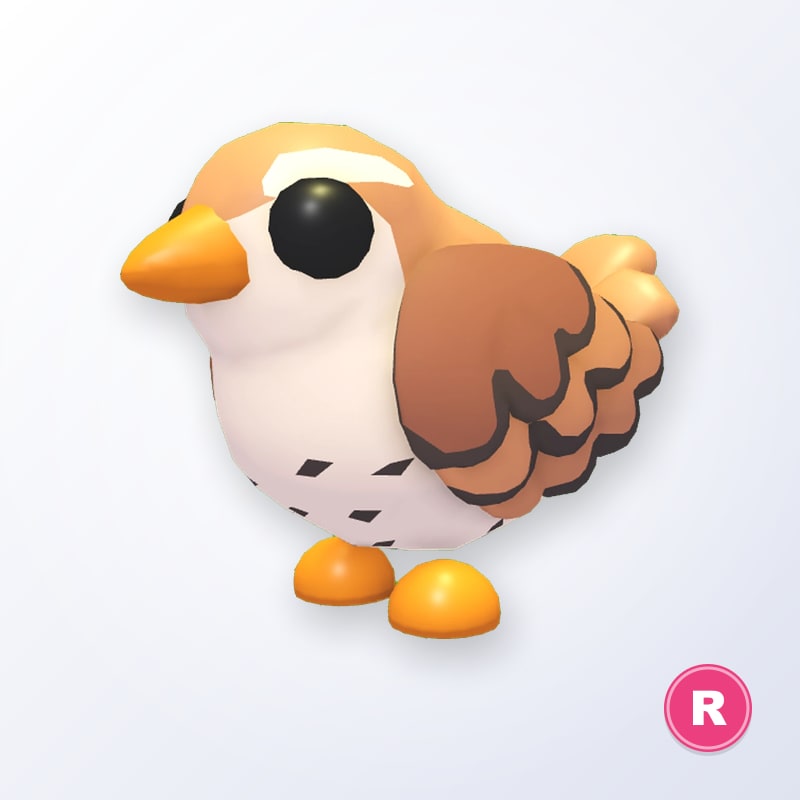 Wren R | Adopt Me