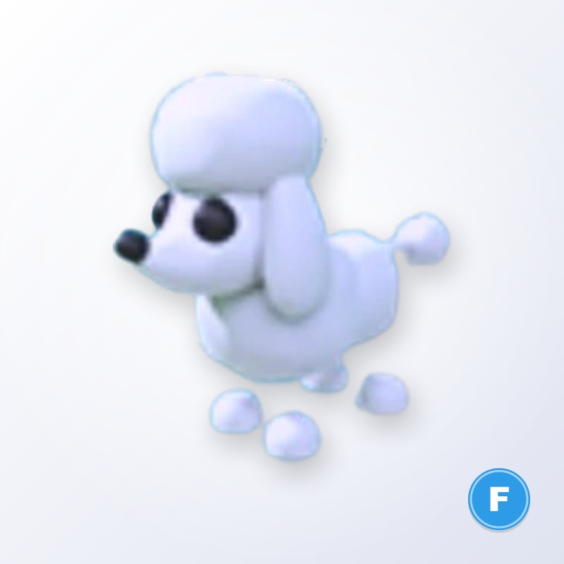 Poodle F | Adopt Me