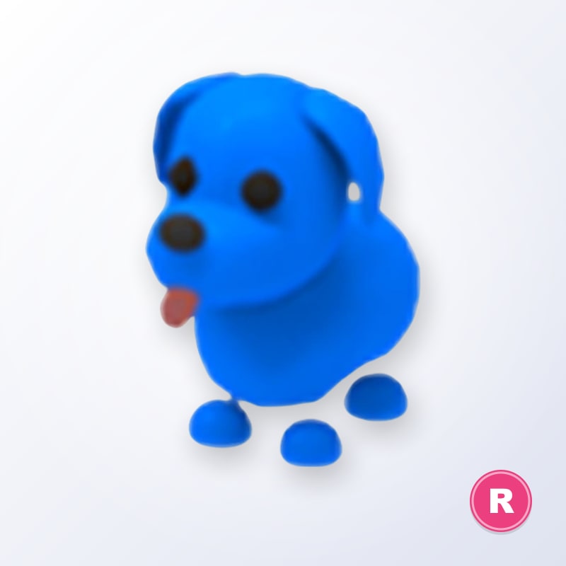 Blue Dog R | Adopt Me