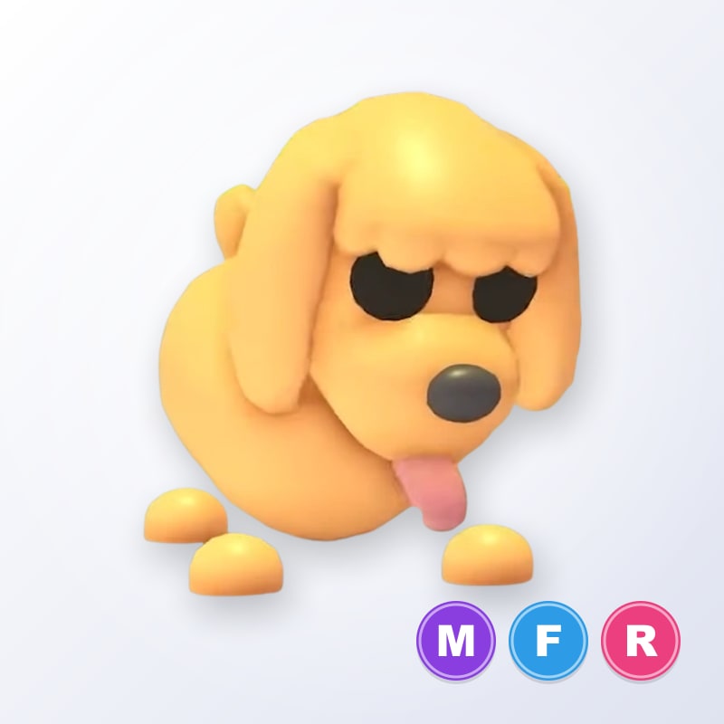 Toy Poodle MFR | Adopt Me