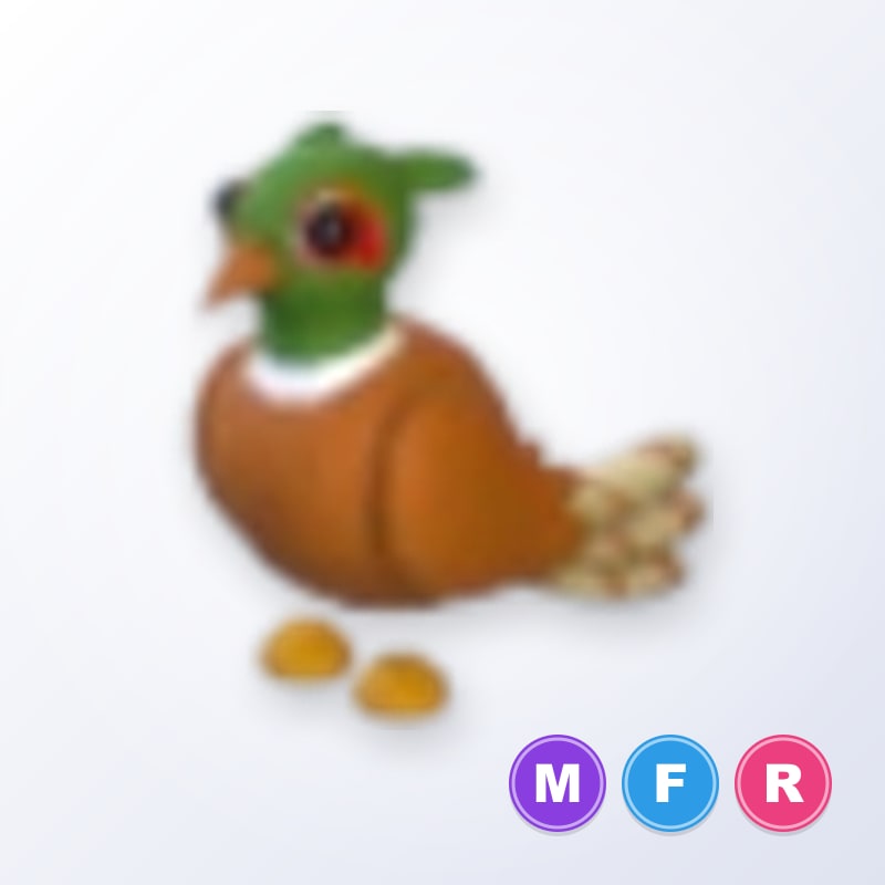 Brown-chested Pheasant MFR | Adopt Me