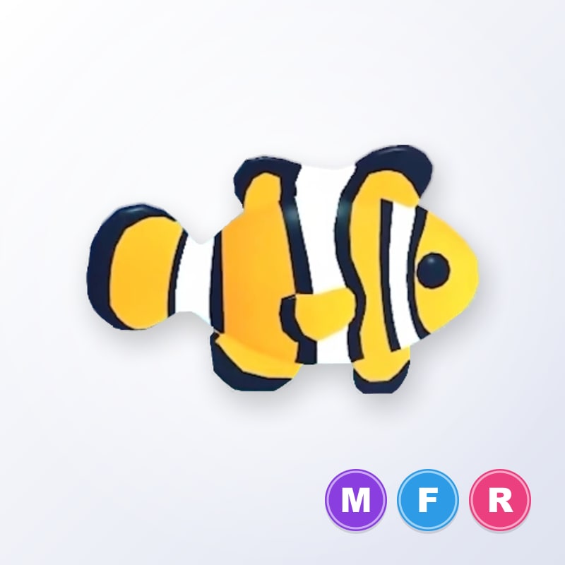 Clownfish MFR | Adopt Me