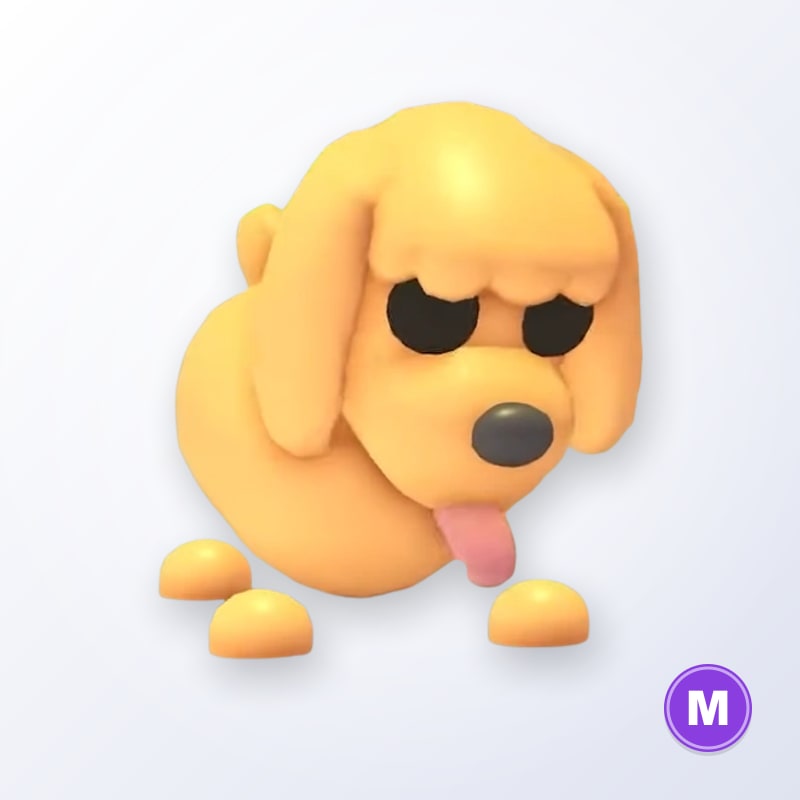 Toy Poodle M | Adopt Me