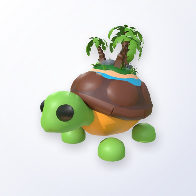 Tortuga De La Isla | Adopt Me