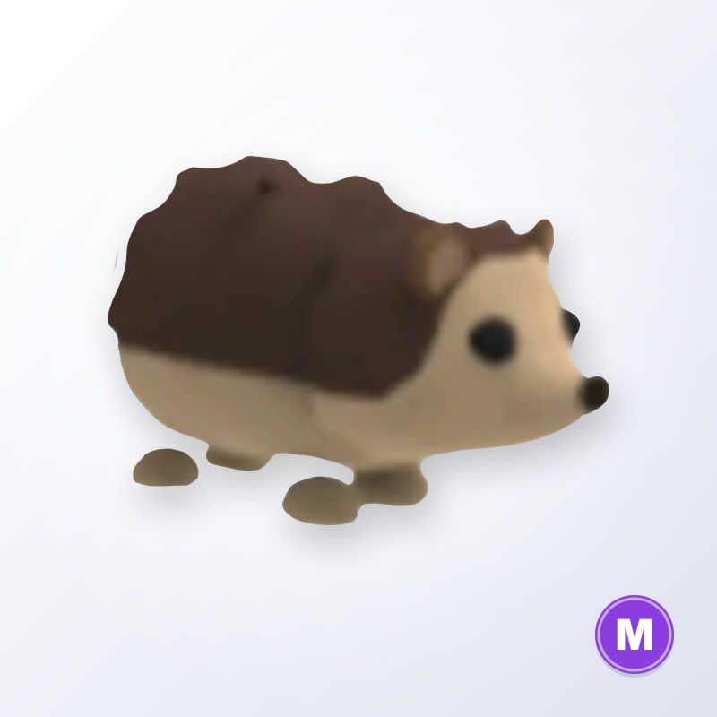 Hedgehog M | Adopt Me