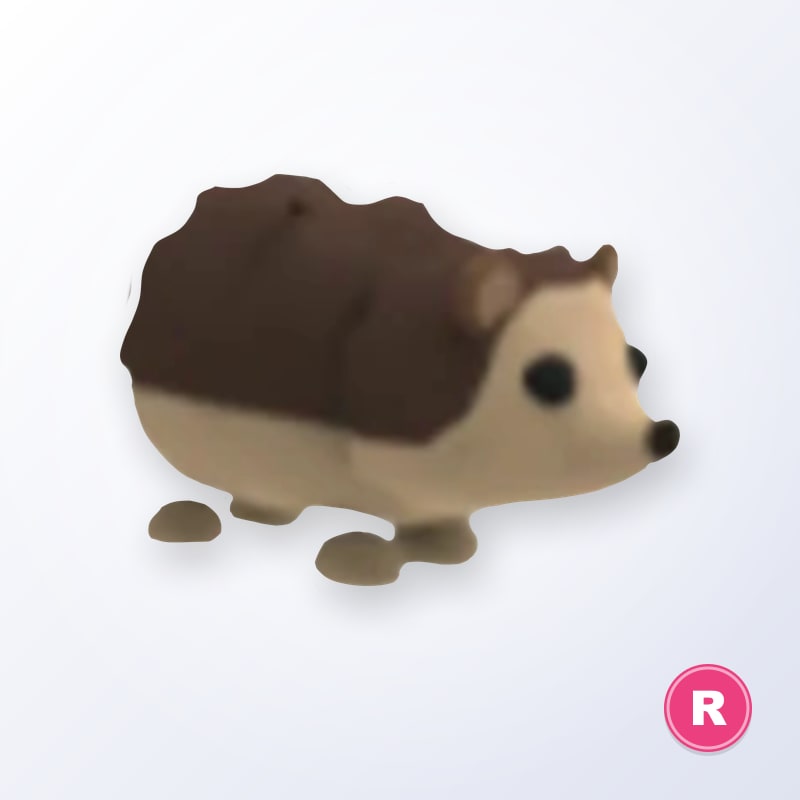 Hedgehog R | Adopt Me