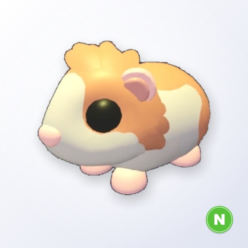 Red Dutch Guinea Pig N | Adopt Me