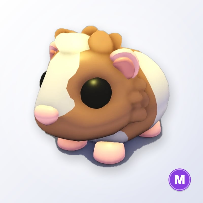 Chocolate Dutch Guinea Pig M | Adopt Me