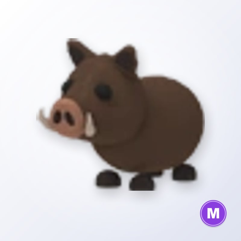 Wild Boar M | Adopt Me