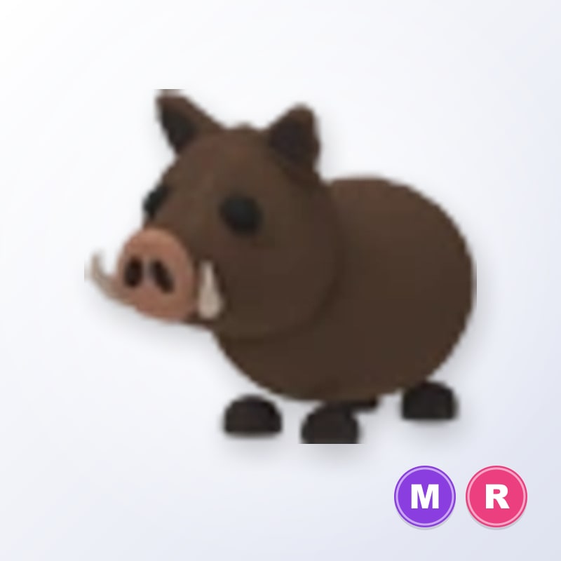 Wild Boar MR | Adopt Me