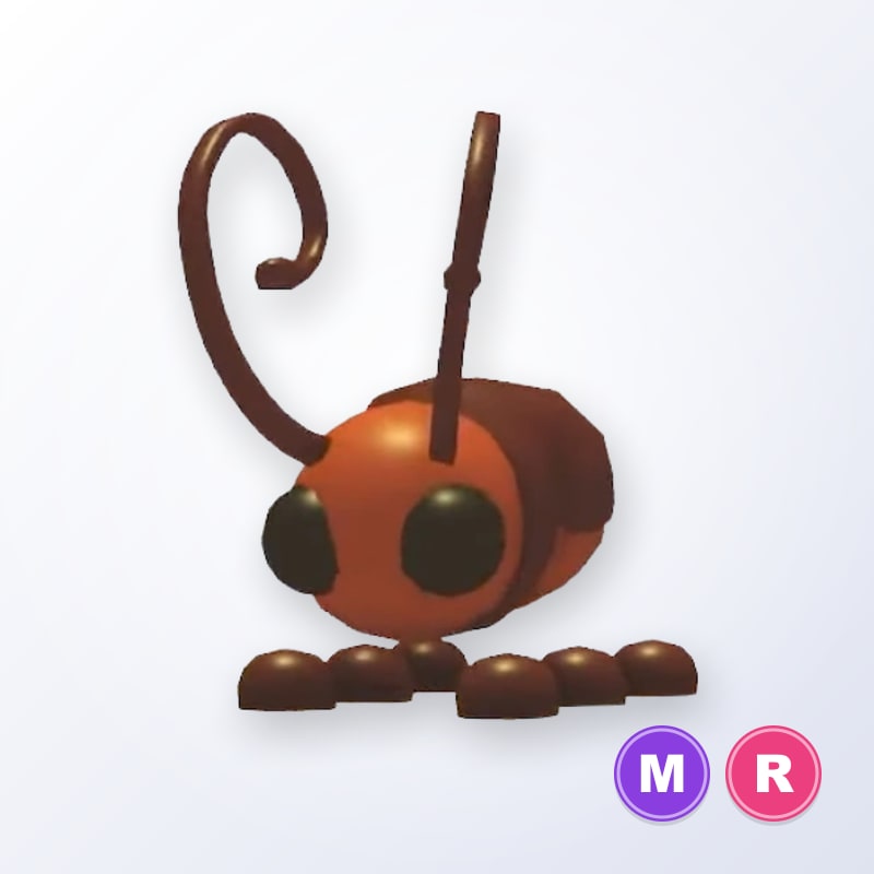 Cockroach MR | Adopt Me
