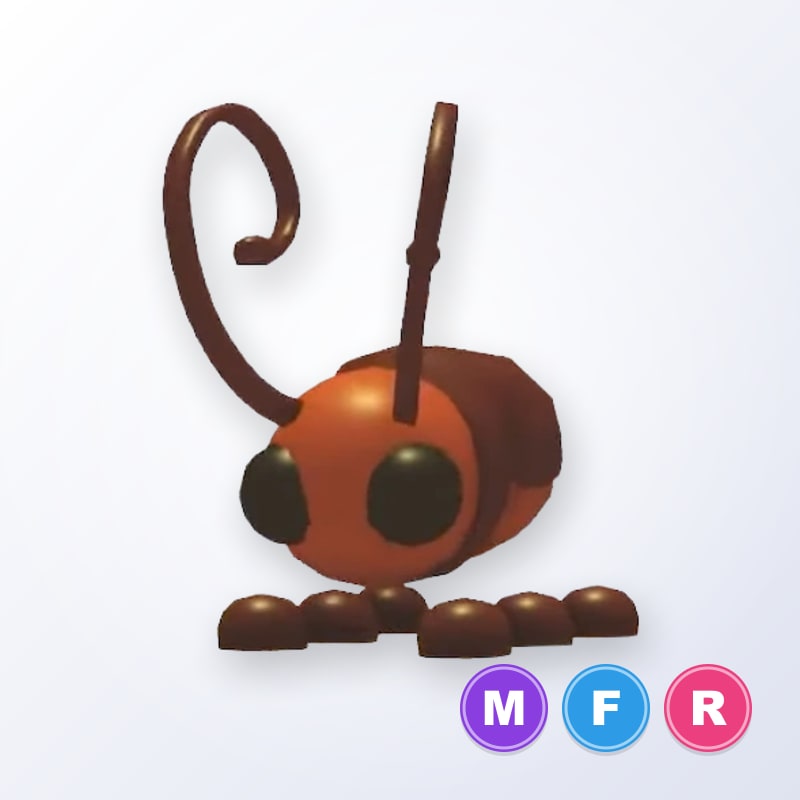 Cockroach MFR | Adopt Me