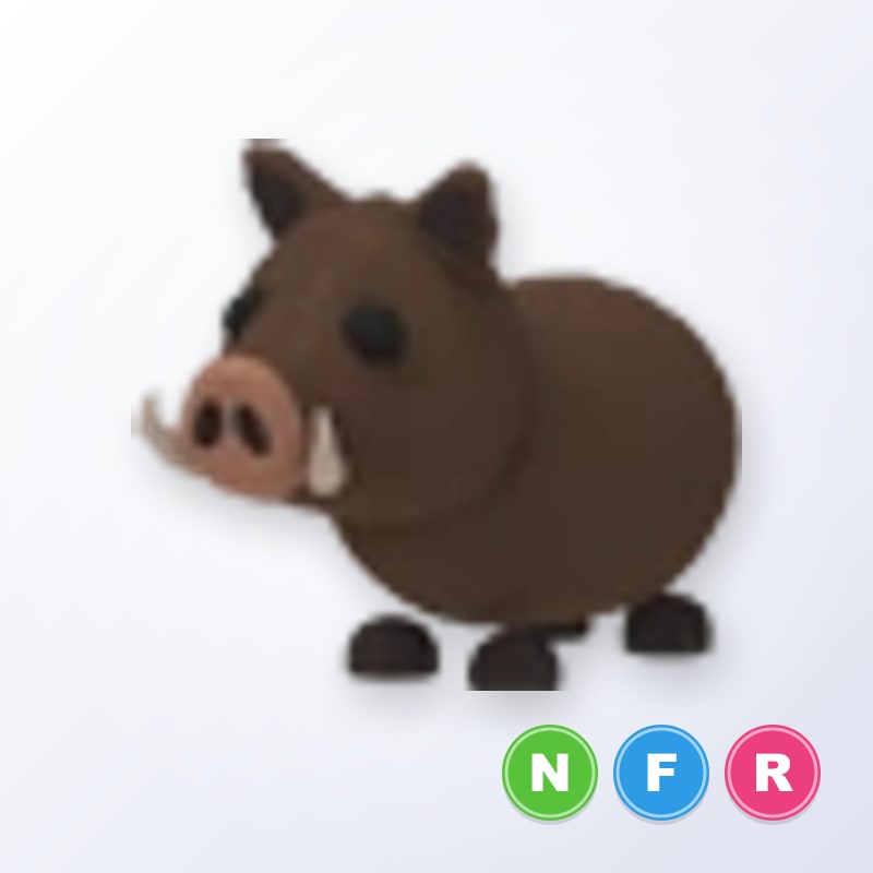 Wild Boar NFR | Adopt Me