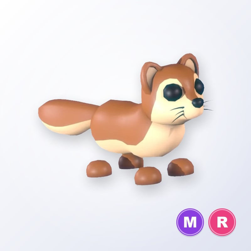 Mongoose MR | Adopt Me