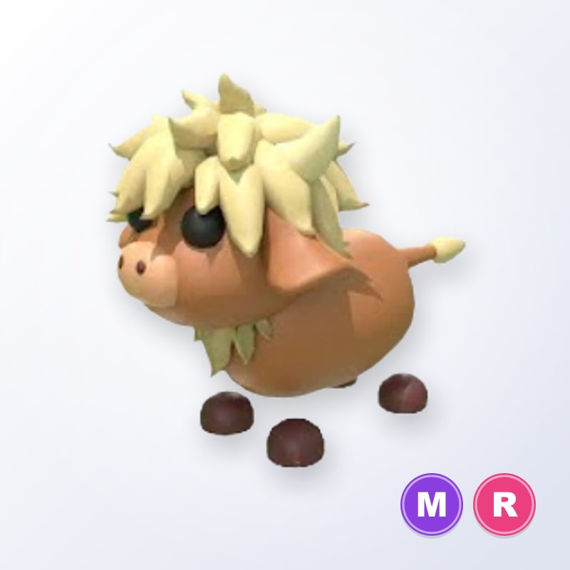 Highland Cow MR | Adopt Me