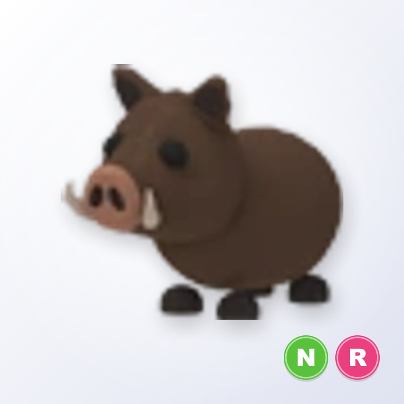 Wild Boar NR | Adopt Me