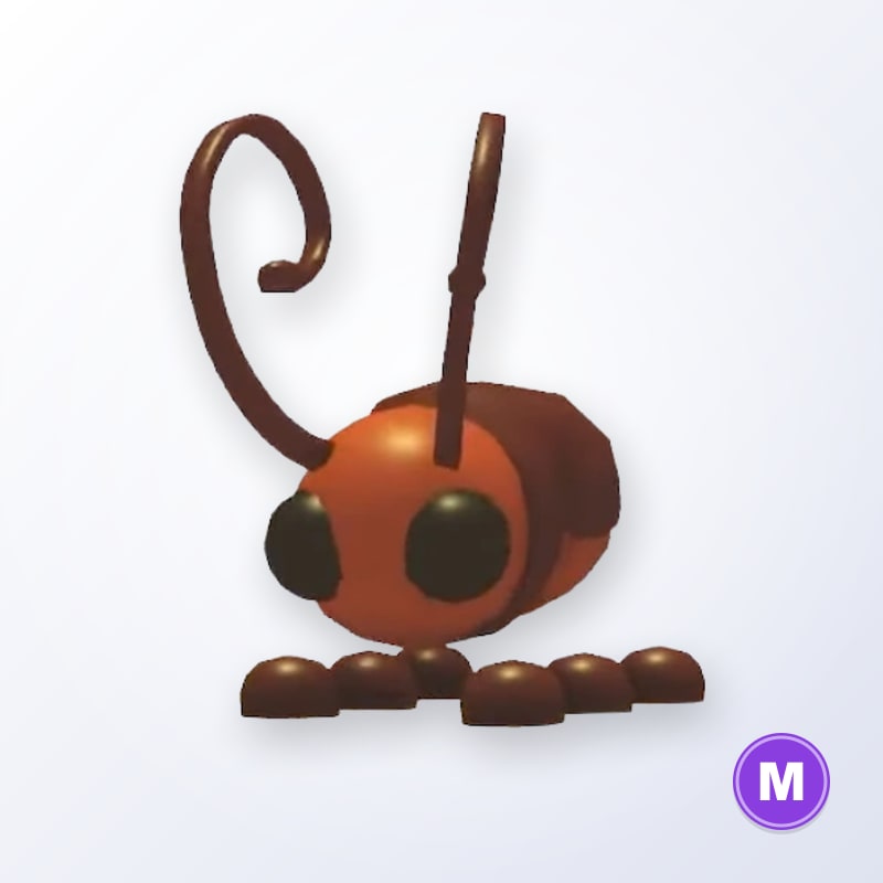 Cockroach M | Adopt Me