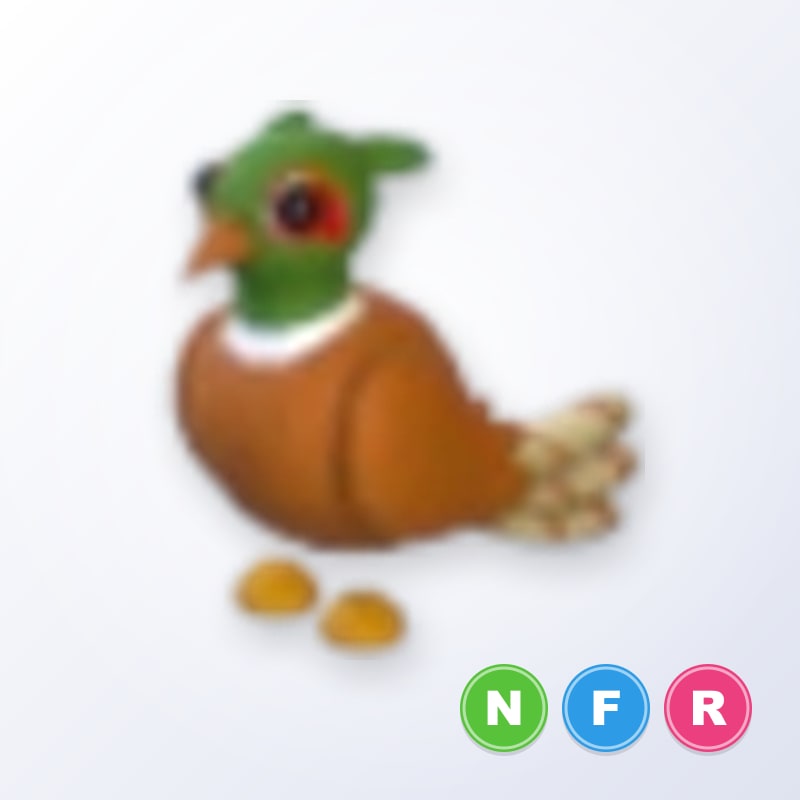 Brown-chested Pheasant NFR | Adopt Me