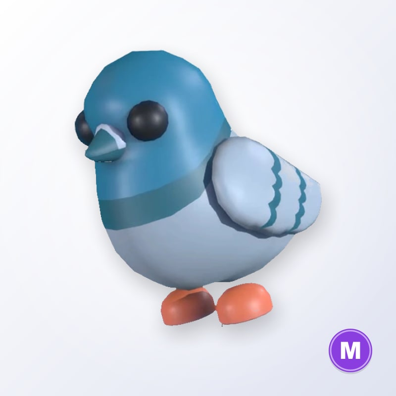Rock Pigeon M | Adopt Me