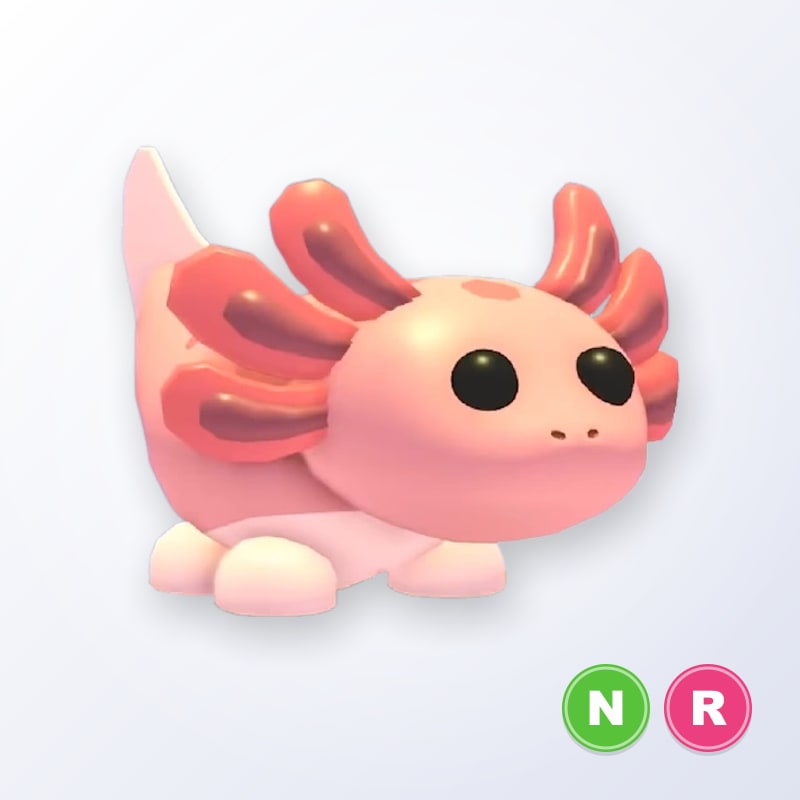 Axolotl NR | Adopt Me