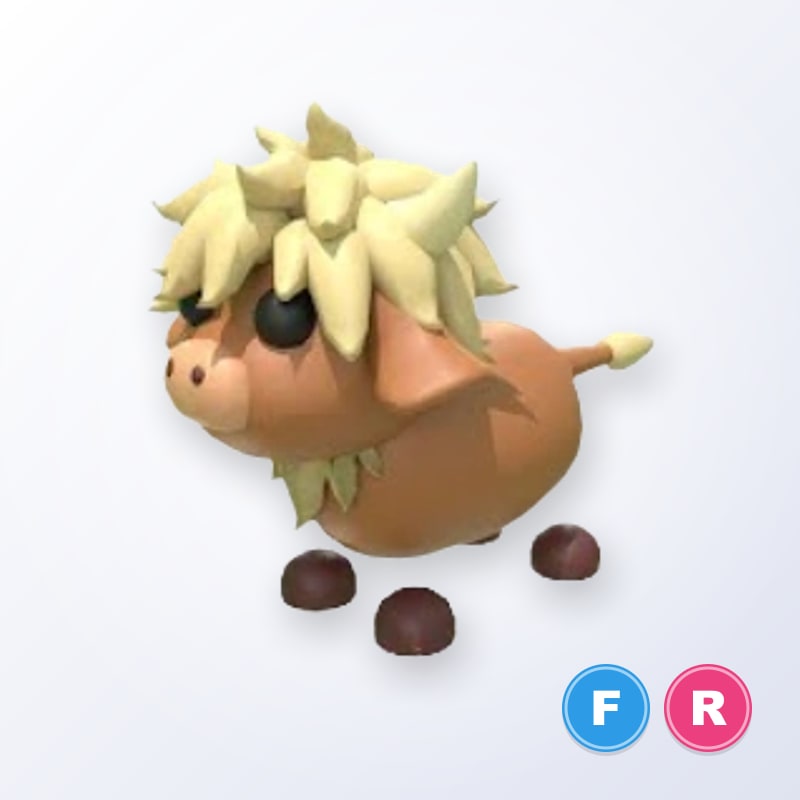 Highland Cow FR | Adopt Me
