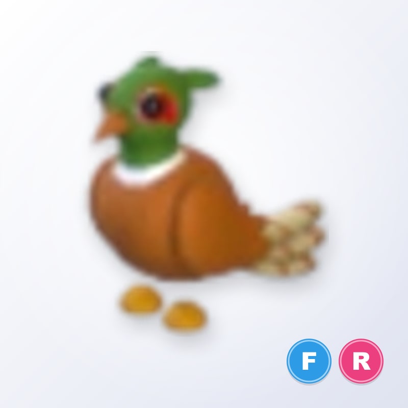 Brown-chested Pheasant FR | Adopt Me