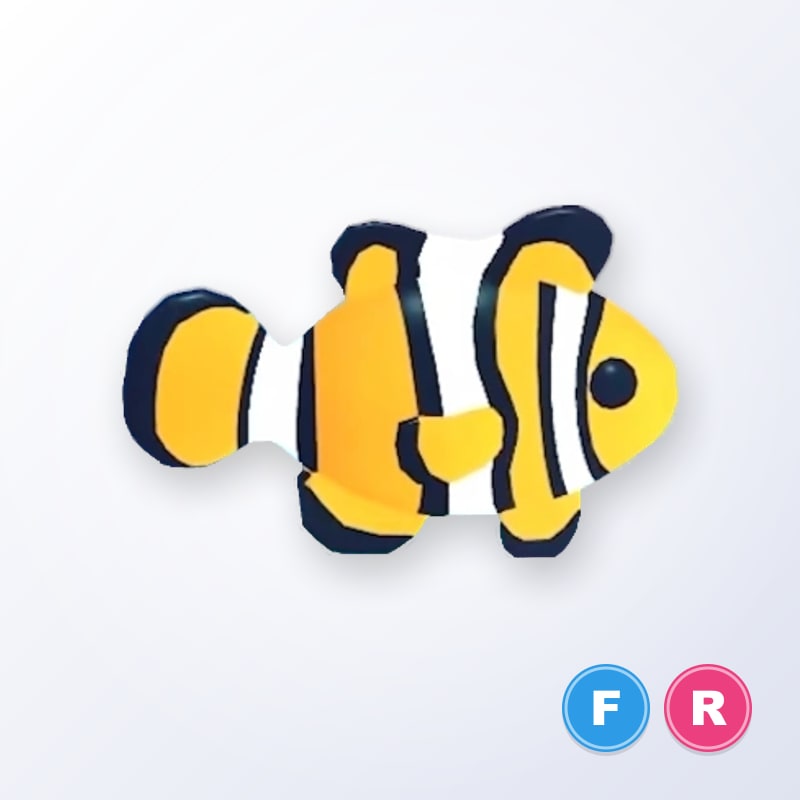 Clownfish FR | Adopt Me