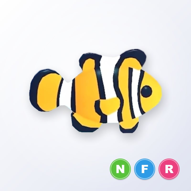 Clownfish NFR | Adopt Me