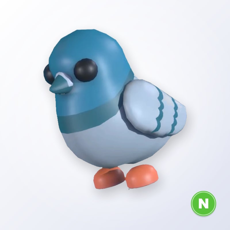 Rock Pigeon N | Adopt Me