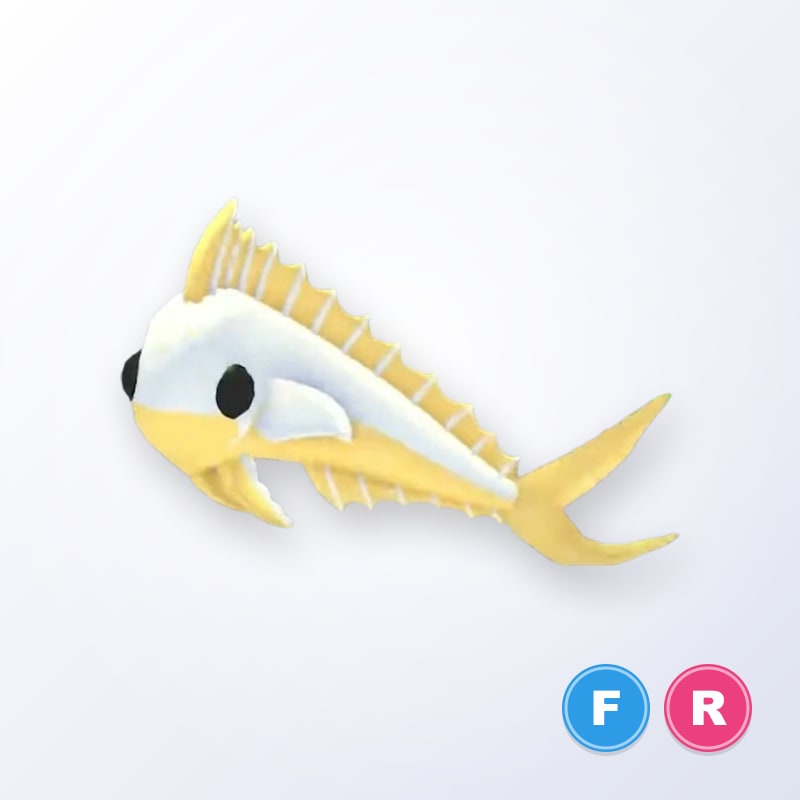 Gold Mahi Mahi FR | Adopt Me
