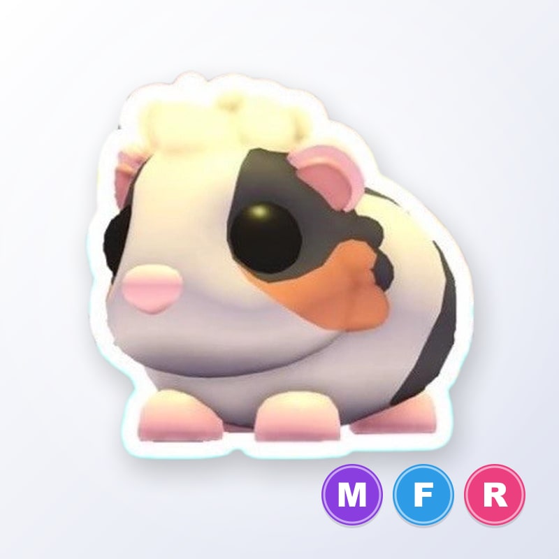 Tortoiseshell Guinea Pig MFR | Adopt Me